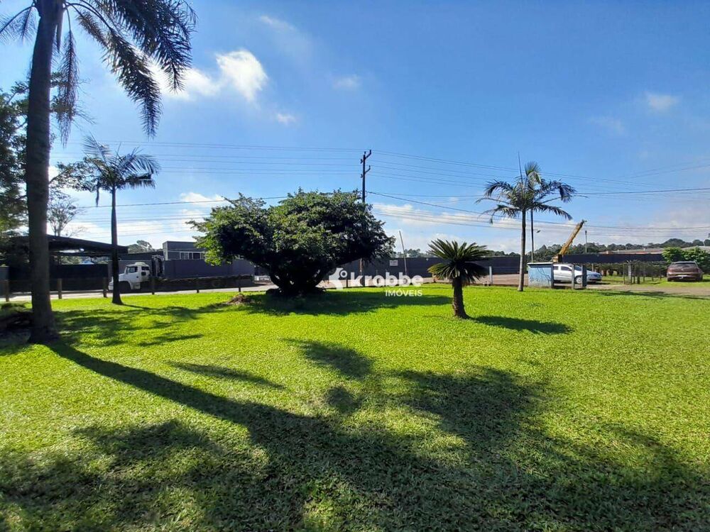 Chácara à venda com 3 quartos, 9811M2 - Foto 2