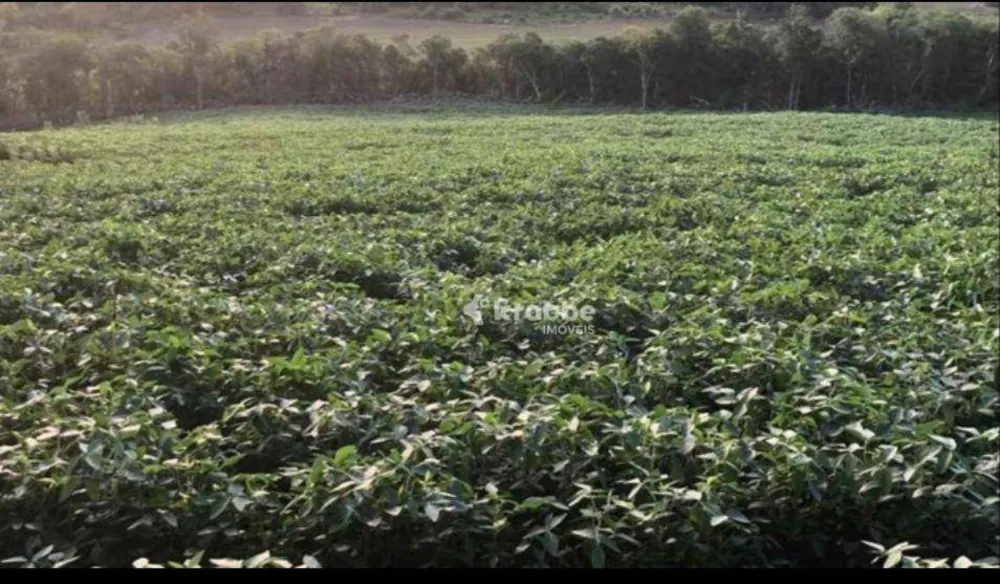 Fazenda, 11 hectares - Foto 4