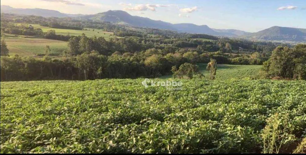Fazenda, 11 hectares - Foto 3