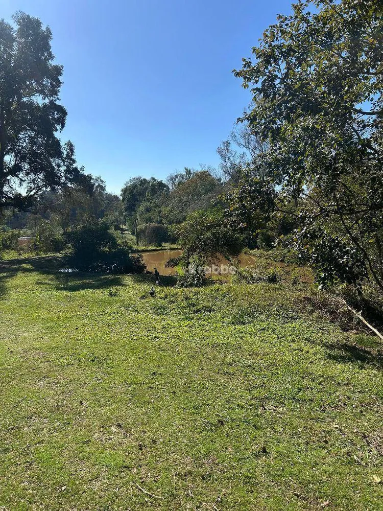 Chácara, 3 quartos, 8 hectares - Foto 7