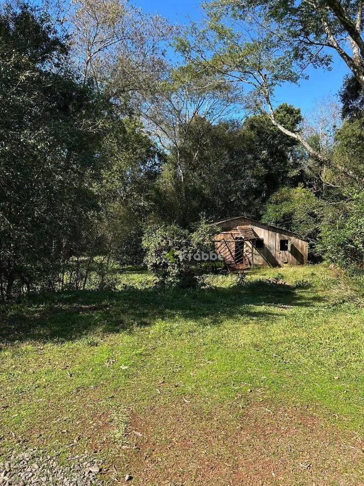 Chácara, 3 quartos, 8 hectares - Foto 3