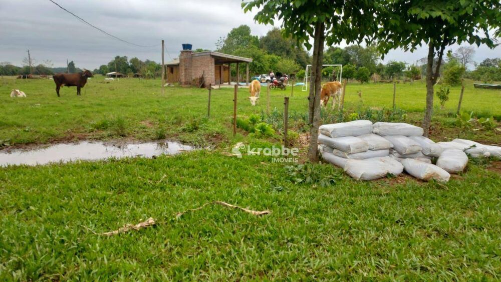Chácara à venda com 1 quarto, 56832M2 - Foto 5