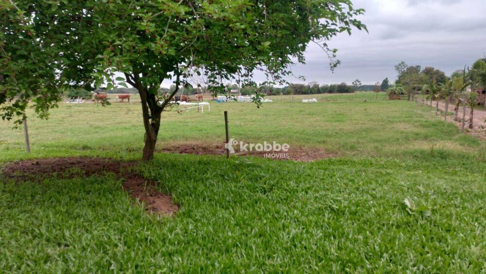 Chácara à venda com 1 quarto, 56832M2 - Foto 4