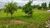 Chácara, 1 quarto, 6 hectares - Foto 6
