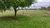 Chácara, 1 quarto, 6 hectares - Foto 4