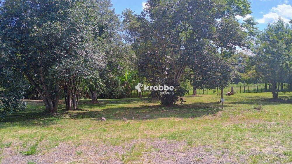 Terreno, 3663 m² - Foto 2