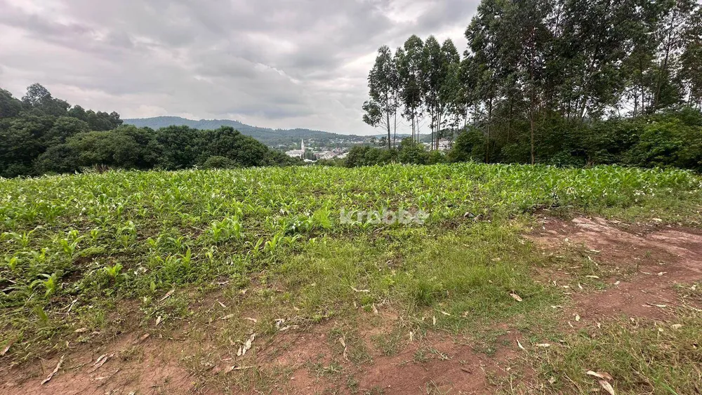 Terreno, 1 hectares - Foto 2