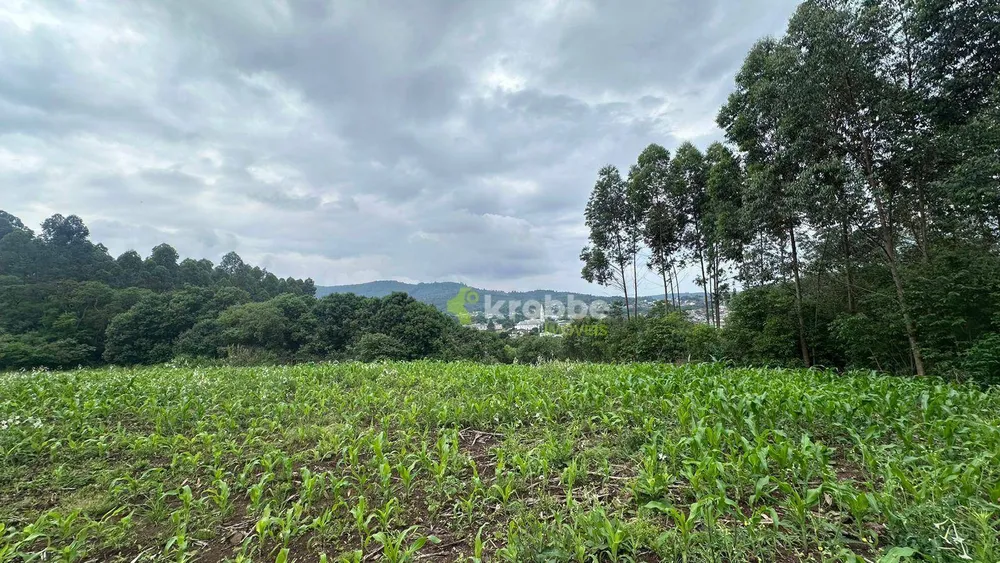 Terreno, 1 hectares - Foto 3