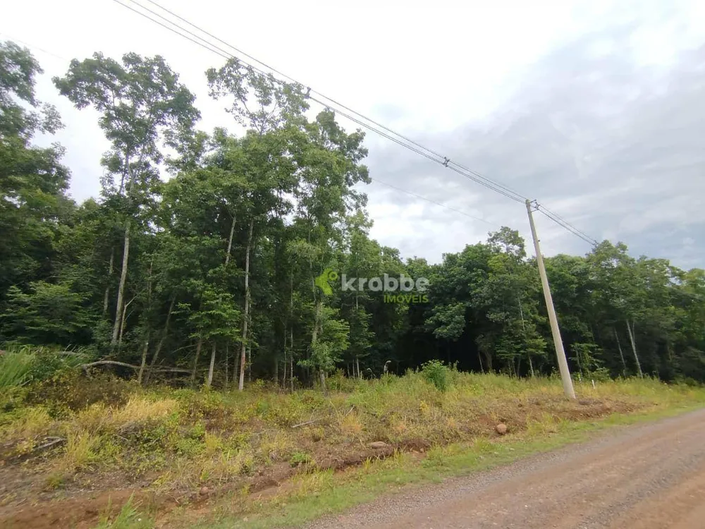 Terreno, 3 hectares - Foto 1