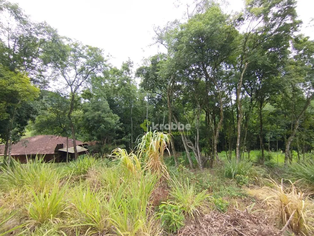 Terreno, 3 hectares - Foto 4