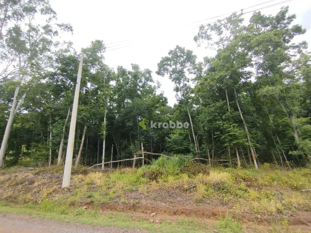 Terreno, 3 hectares - Foto 3