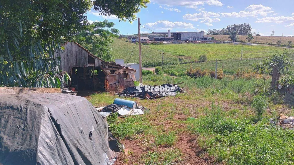 Chácara, 7 quartos, 5 hectares - Foto 4