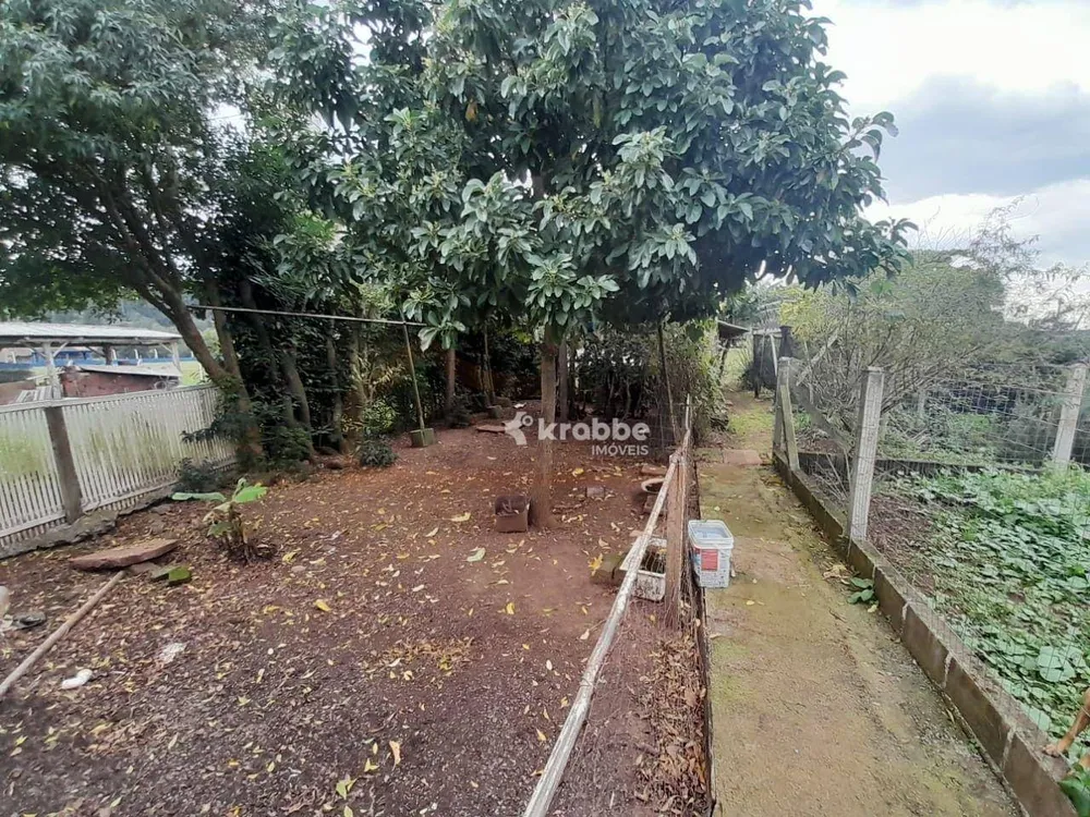 Chácara, 2 quartos, 4917 m² - Foto 7