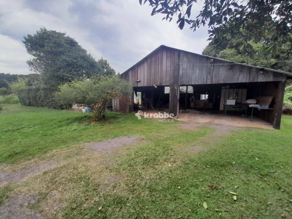 Chácara, 2 quartos, 4917 m² - Foto 5