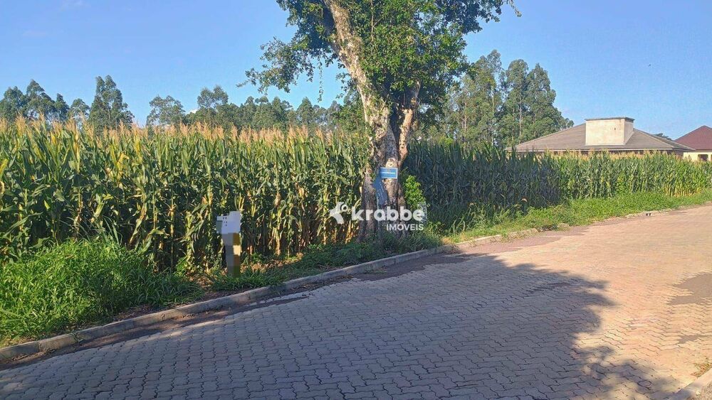 Terreno, 707 m² - Foto 3