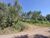Terreno, 16 hectares - Foto 1