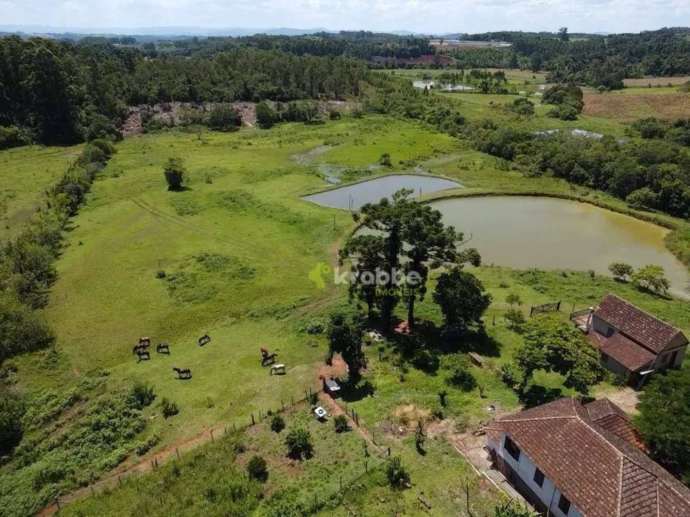 Chácara, 6 quartos, 6 hectares - Foto 10