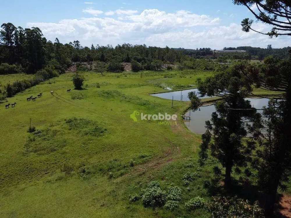 Chácara, 6 quartos, 6 hectares - Foto 8