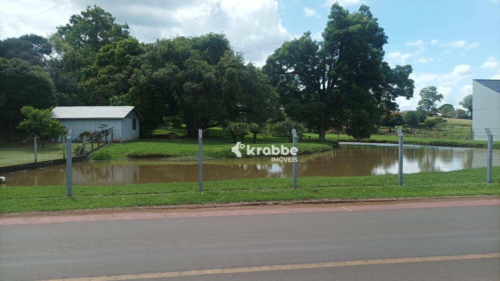 Chácara, 4 quartos, 7757 m² - Foto 4