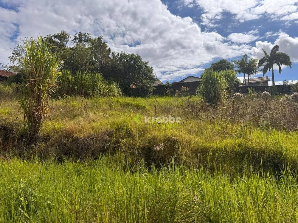 Terreno, 317 m² - Foto 3