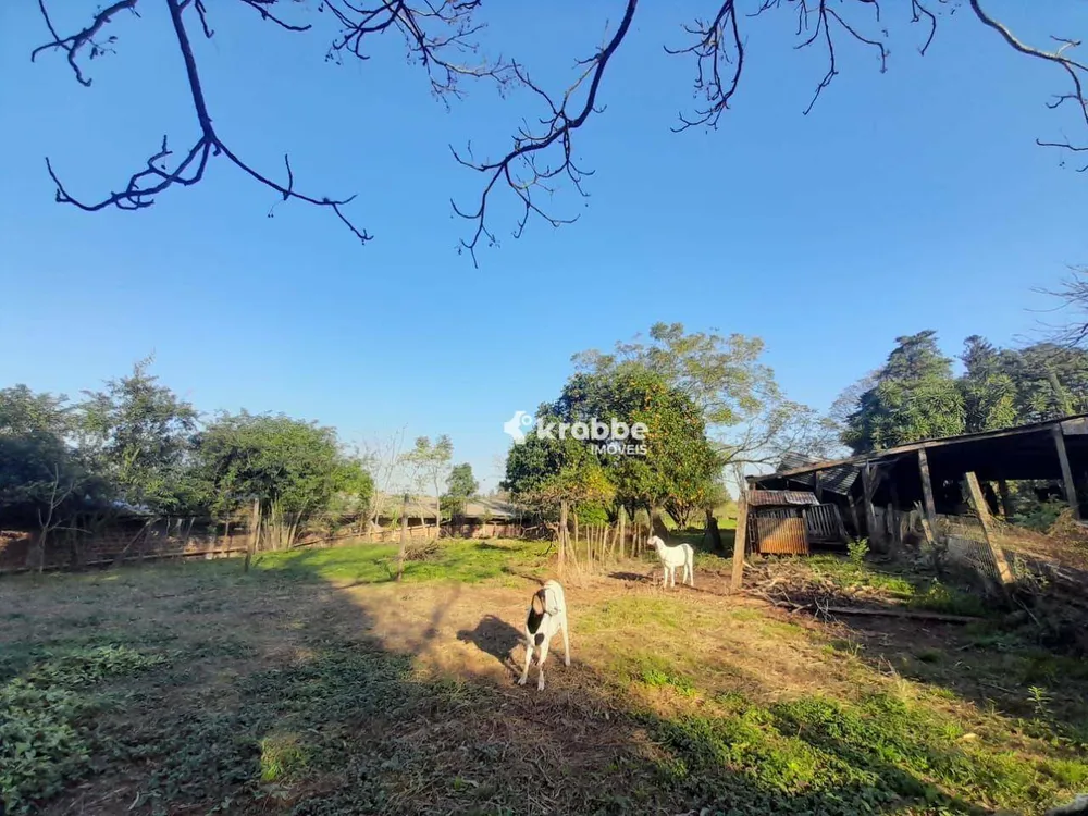Terreno, 9 hectares - Foto 3