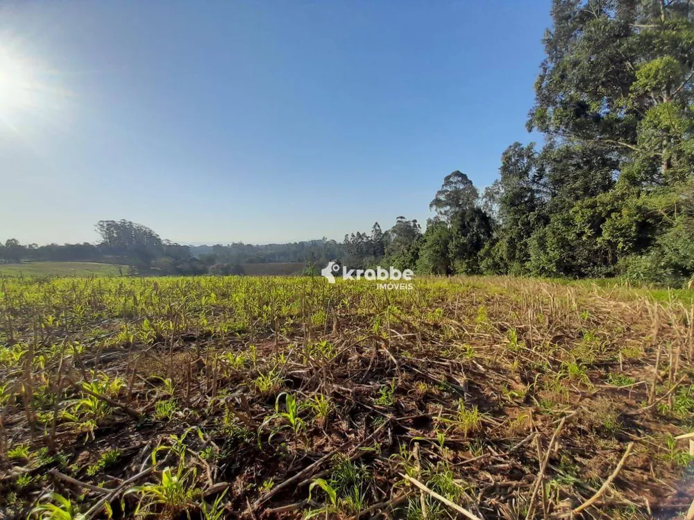 Terreno, 9 hectares - Foto 4