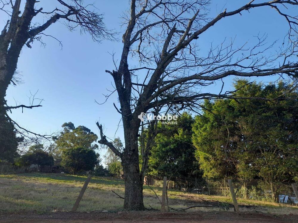 Terreno, 9 hectares - Foto 1