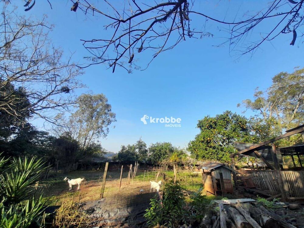 Terreno, 9 hectares - Foto 4