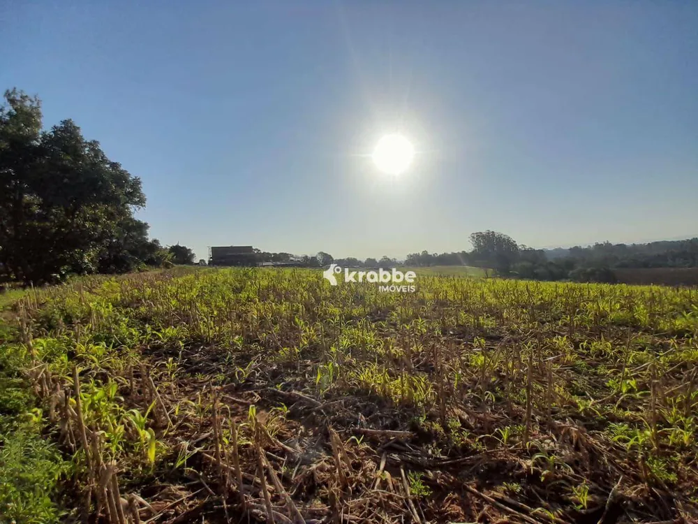 Terreno, 9 hectares - Foto 7