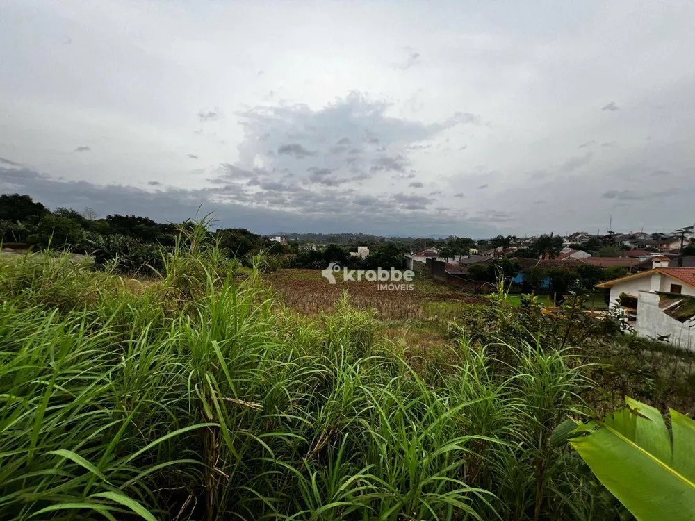 Terreno, 2000 m² - Foto 4