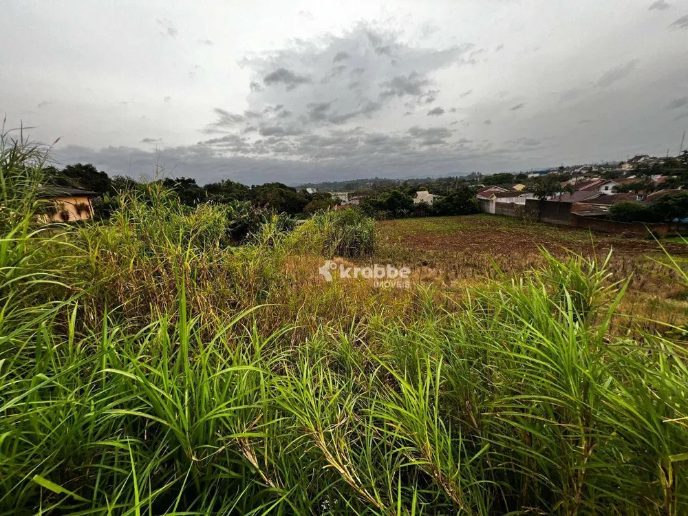 Terreno, 2000 m² - Foto 6