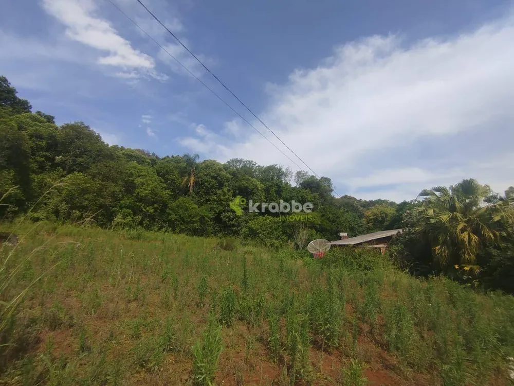 Terreno, 12 hectares - Foto 7