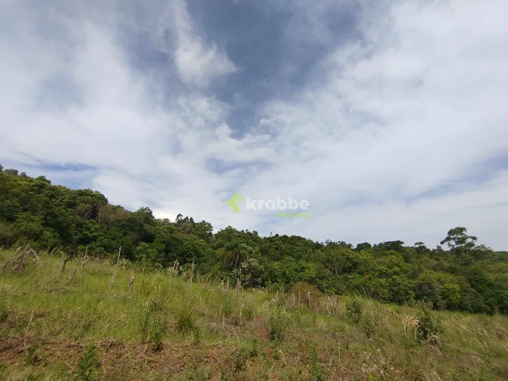 Terreno, 12 hectares - Foto 11