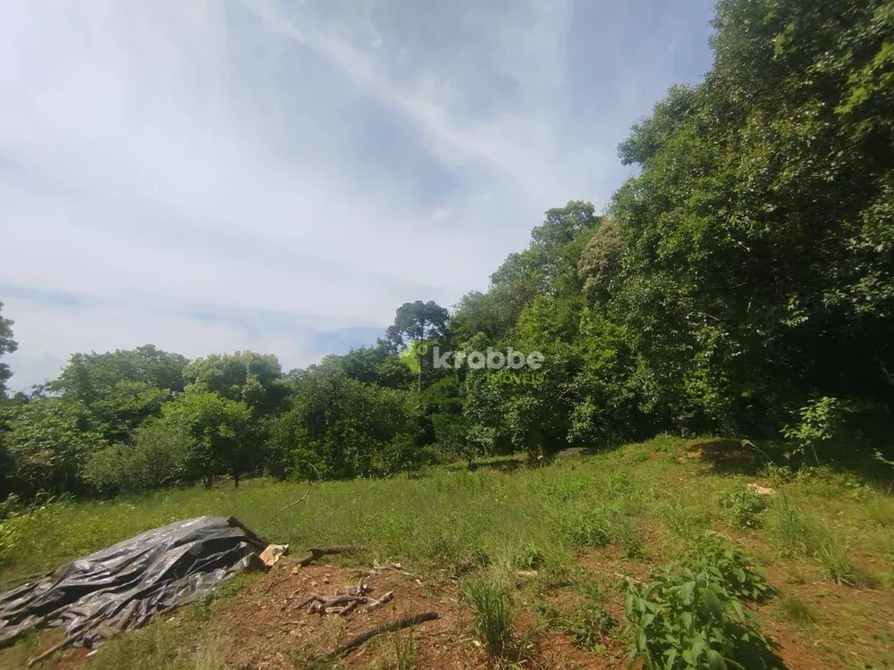 Terreno, 12 hectares - Foto 4