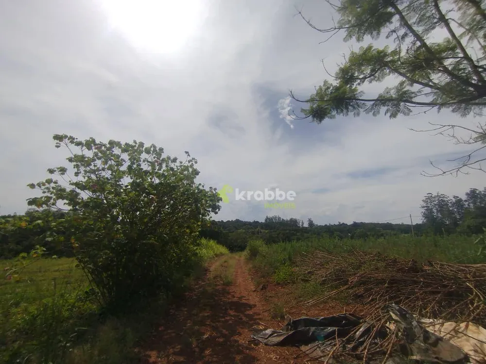 Terreno, 12 hectares - Foto 7