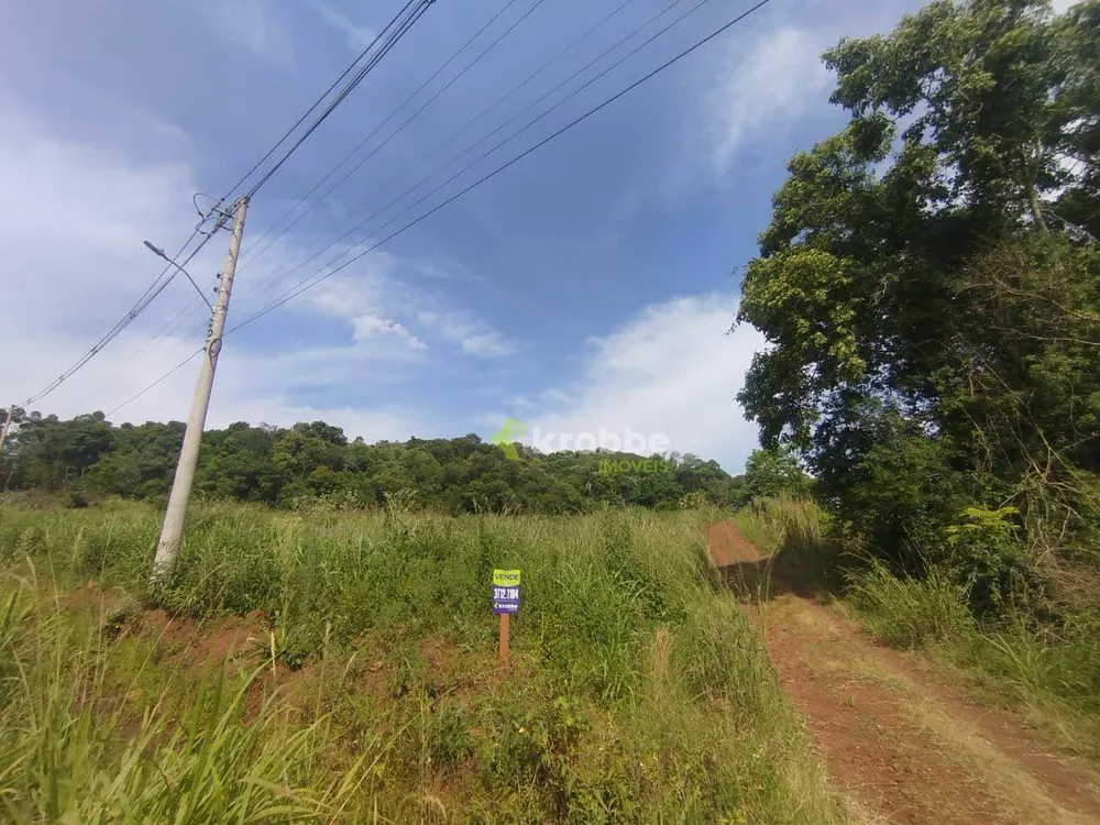 Terreno, 12 hectares - Foto 8