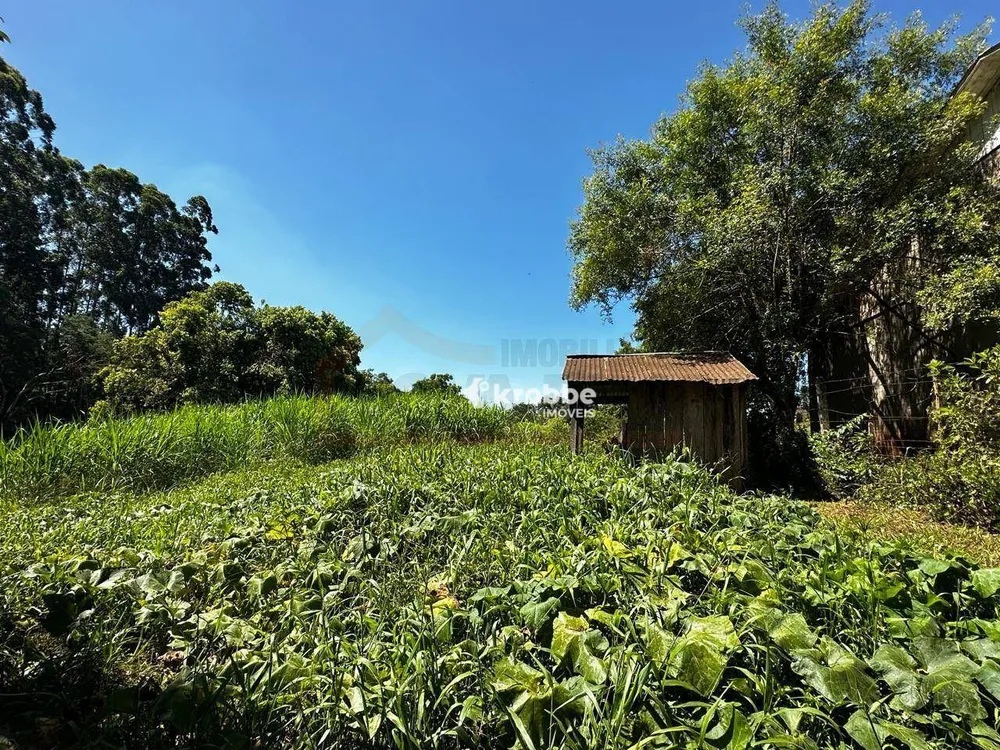 Chácara, 2 quartos, 5000 m² - Foto 11