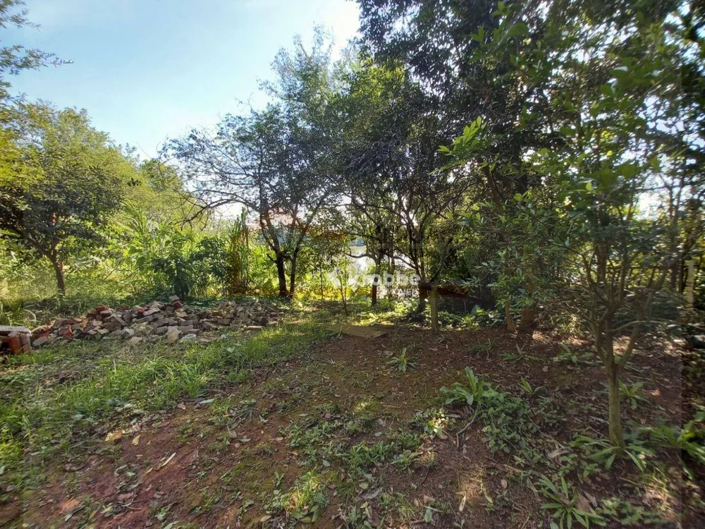 Chácara, 1 quarto, 8500 m² - Foto 7