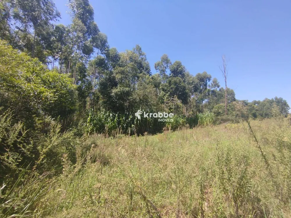 Chácara, 2 quartos, 2 hectares - Foto 16
