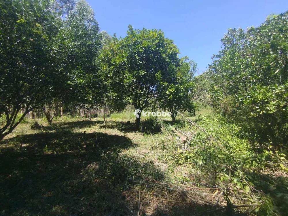 Chácara, 2 quartos, 2 hectares - Foto 15