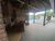 Chácara, 5 quartos, 3000 m² - Foto 3