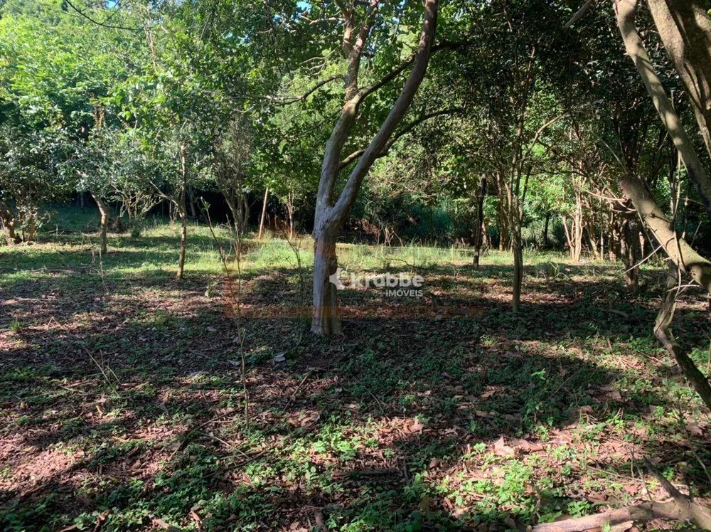 Chácara, 1 quarto, 1 hectares - Foto 7