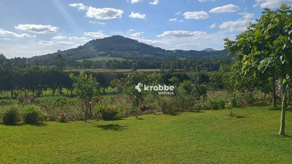 Chácara, 2 quartos, 9750 m² - Foto 5