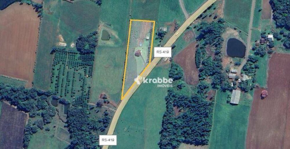 Chácara, 2 quartos, 9750 m² - Foto 4