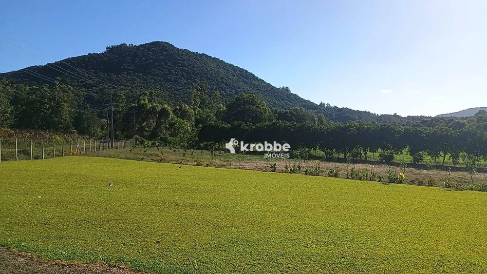 Chácara, 2 quartos, 9750 m² - Foto 6