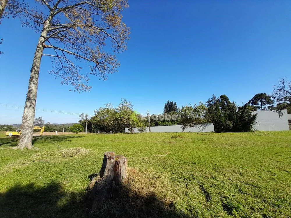 Terreno, 6780 m² - Foto 3