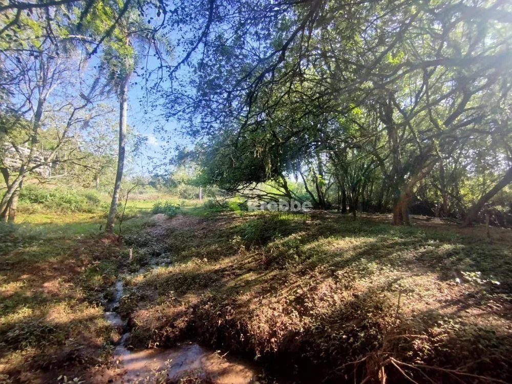 Terreno, 4 hectares - Foto 12