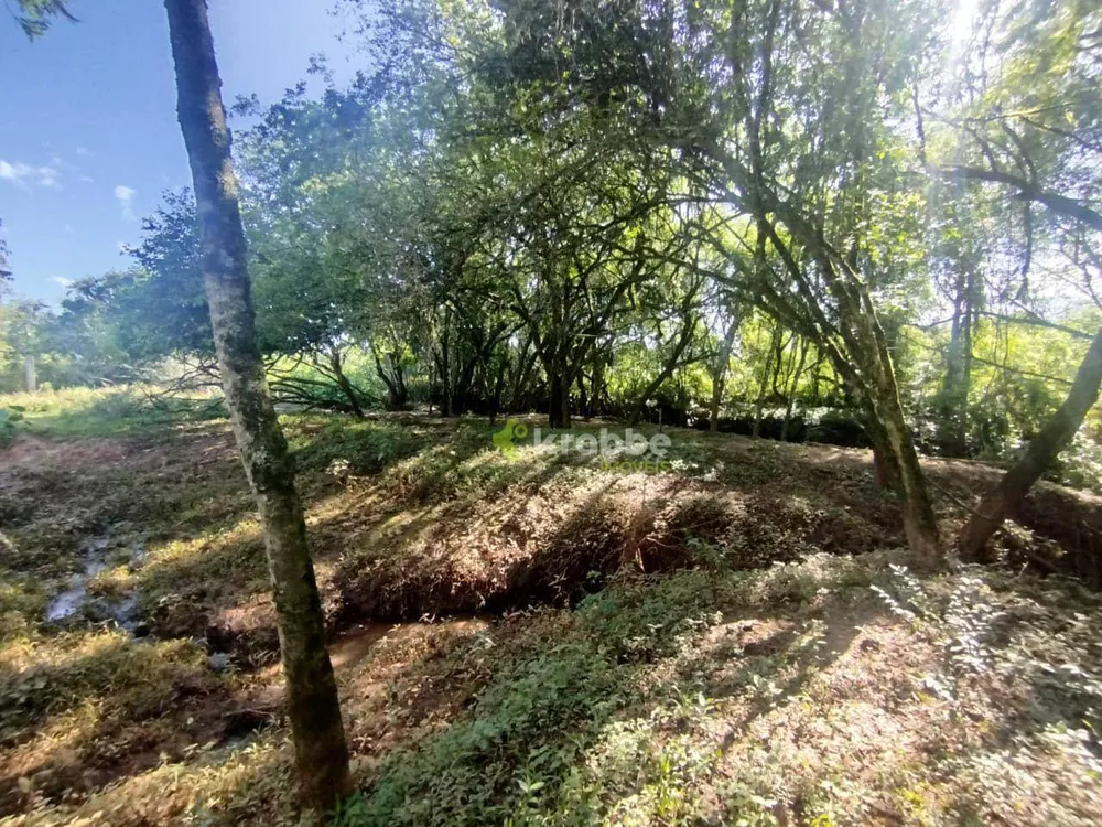 Terreno, 4 hectares - Foto 11