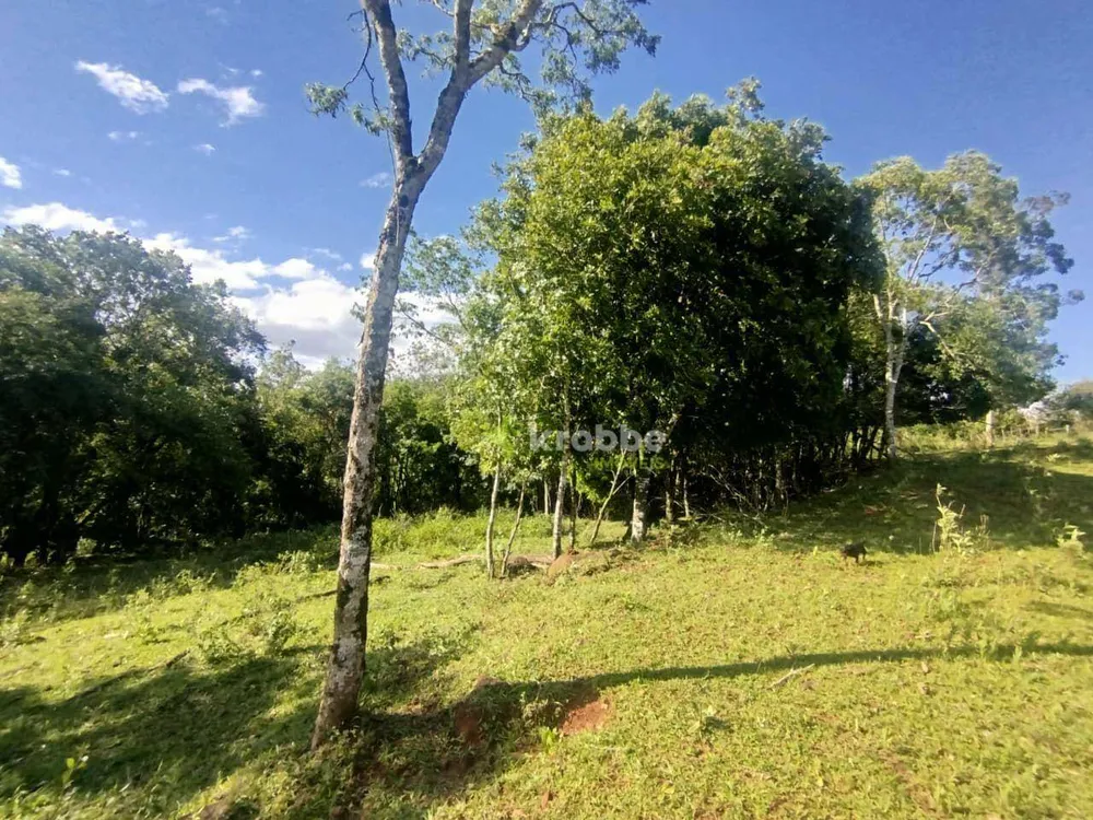 Terreno, 4 hectares - Foto 6
