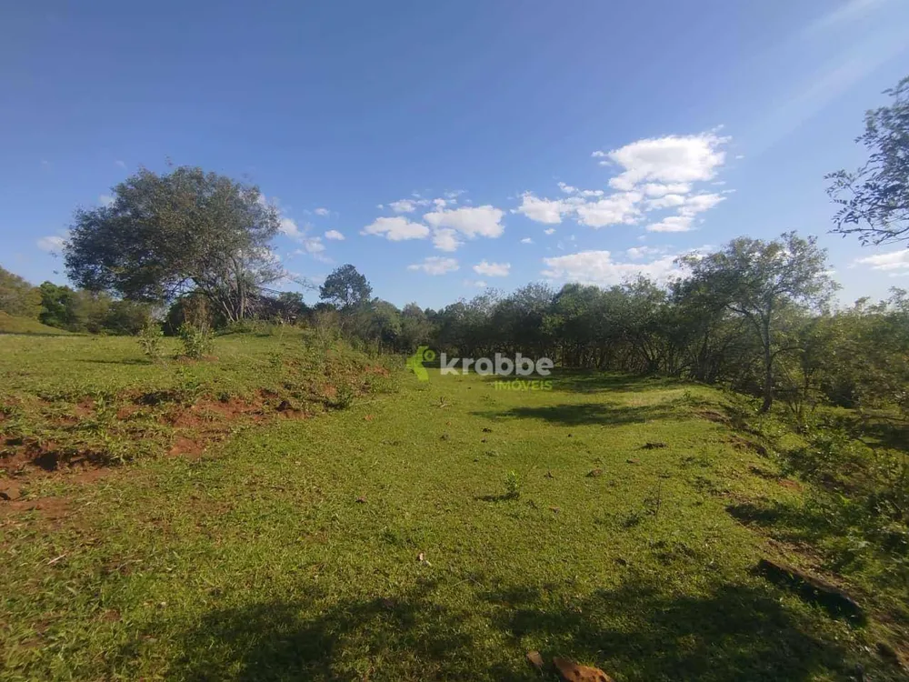 Terreno, 4 hectares - Foto 8